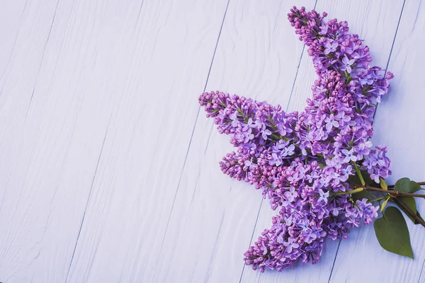 Houten achtergrond met lila bloemen — Stockfoto