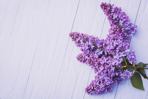 Trä bakgrund med lila blommor — Stockfoto