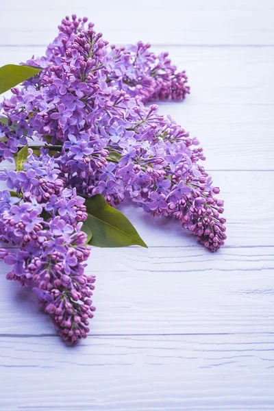 Wooden background with lilac flowers — Stock Photo, Image