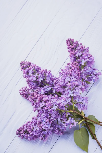 Trä bakgrund med lila blommor — Stockfoto