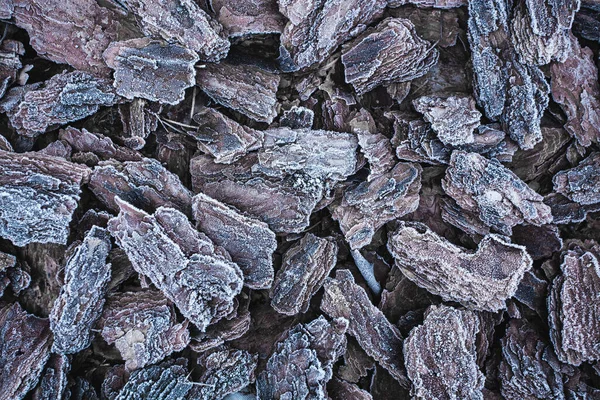 The texture of the pine bark. frosty mulch — Stock Photo, Image