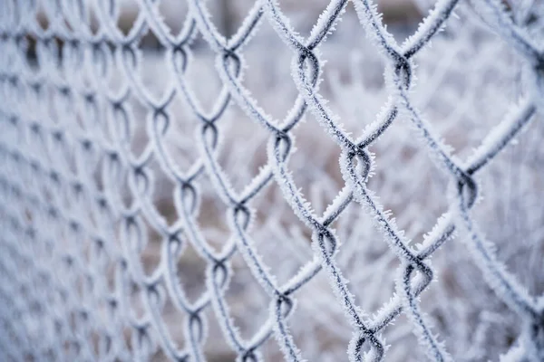 Frost auf einem Metallgitter vor winterlichem Hintergrund. — Stockfoto