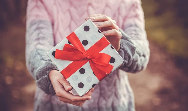 Feminino Segurando Rústico Decorado Presente de Natal com ramo de árvore — Fotografia de Stock