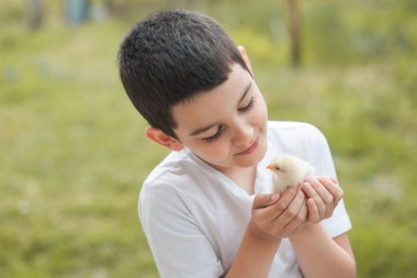 A portrait of an adorable little kid, preschool or school age, happy child holding a fluffy yellow baby chicken with both hands and smiling