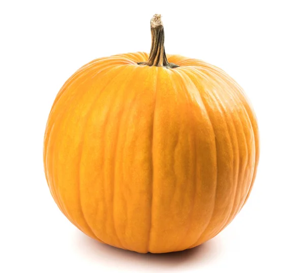 Stor Orange Pumpa Den Vita Bakgrunden Haloween Konceptet — Stockfoto