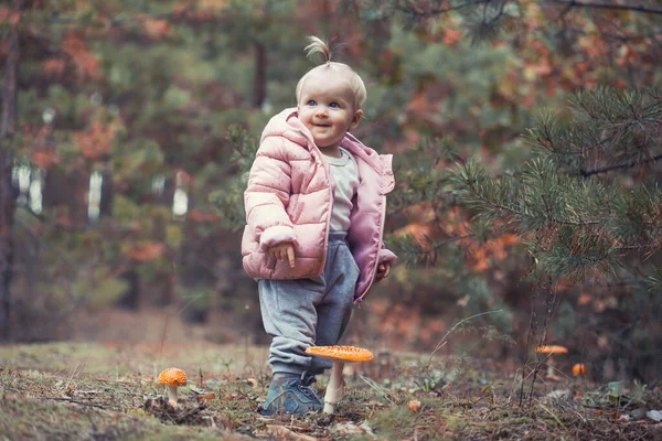 Nettes Kleines Mädchen Sammelt Pilze Sommer Wald Schaut Auf Nicht — Stockfoto