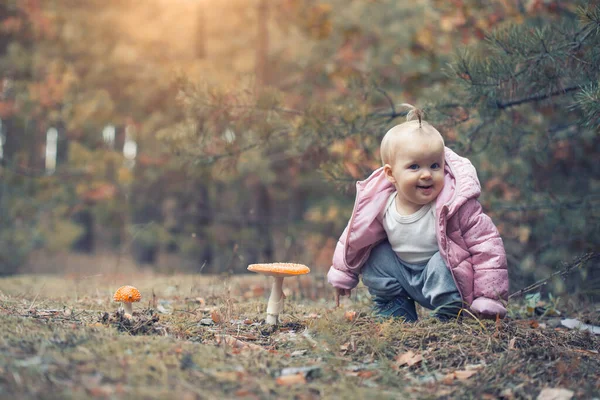 Cute Little Baby Girl Picking Mushrooms Summer Forest Looks Non — Stock Photo, Image