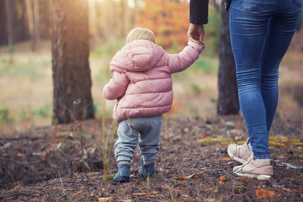 Mãe Filhinha Estão Andando Mãos Dadas Uma Floresta Coníferas — Fotografia de Stock