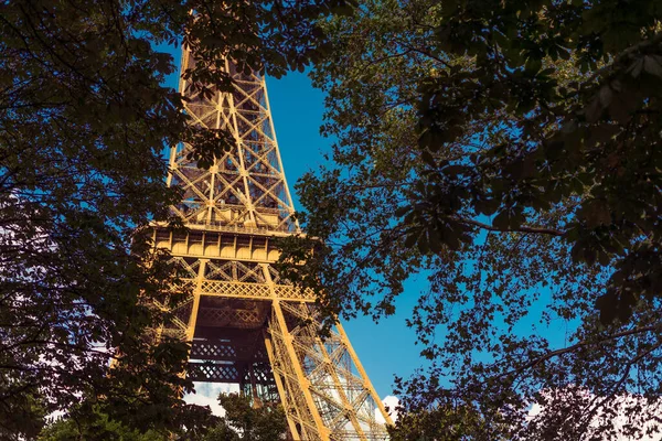 Eiffel Torony Fákkal Ellen Párizsban Franciaországban — Stock Fotó