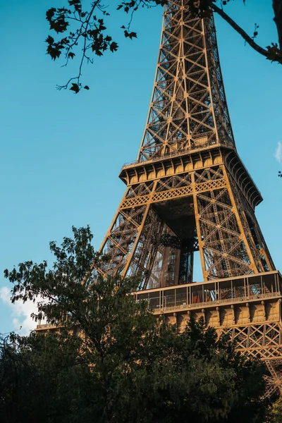 Eiffel Torony Fákkal Ellen Párizsban Franciaországban — Stock Fotó