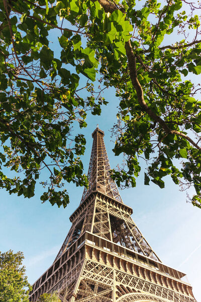 Eiffel tower from below with trees against sky