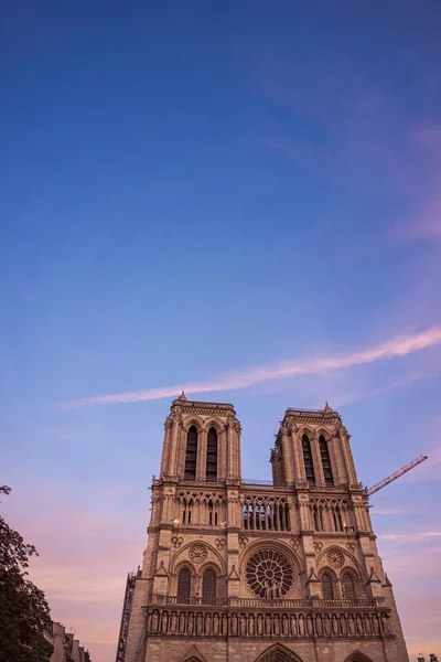 Détail Cathédrale Notre Dame Contre Ciel Paris France — Photo