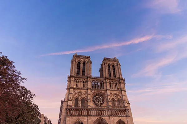 Detal Katedry Notre Dame Przeciwko Niebu Paryżu Francja — Zdjęcie stockowe