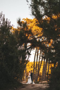 Günbatımında ormanda yürüyen evli bir çift.