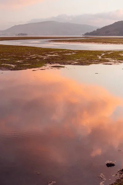 Detalle Pantano Con Barro Atardecer —  Fotos de Stock