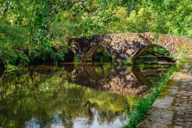 Galiçya, İspanya 'da bir ormanın üzerindeki nehirde antik Roma taş köprüsü