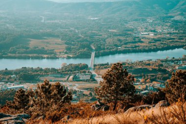 Köprü çok yukarıdan geçiyor, ön planda ağaçlar var.