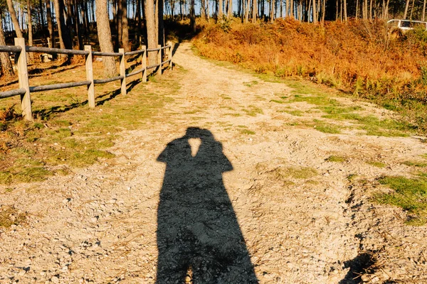 Sombra Dos Amantes Besándose Contra Bosque —  Fotos de Stock