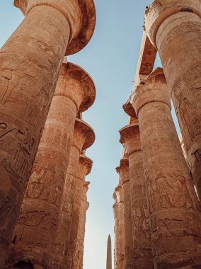 Ancient ruins of columns on an abandoned temple full of hieroglyphs in Egypt, Africa
