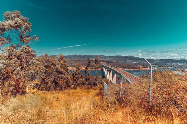 Train Tracks Bridge River Forest Foreground —  Fotos de Stock