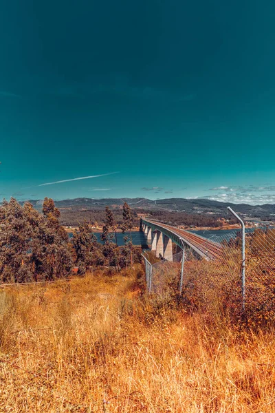 Train Tracks Bridge River Forest Foreground — Foto Stock