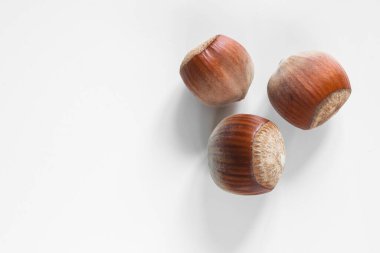 Three unopened hazelnuts against white background with copy space