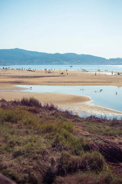 Playa Virgen Europa Con Humedales Fauna —  Fotos de Stock