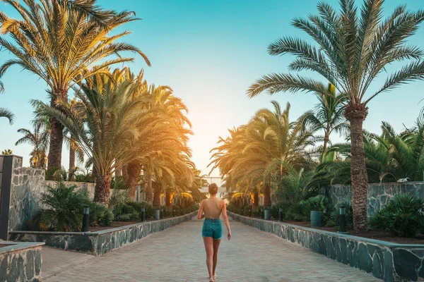 Gran Canaria Palm 'da yürüyen turist Kanarya Adaları, İspanya