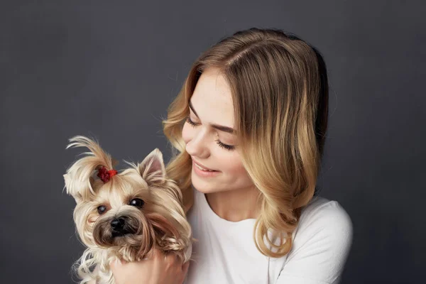 pretty woman with a small dog cropped view. High quality photo