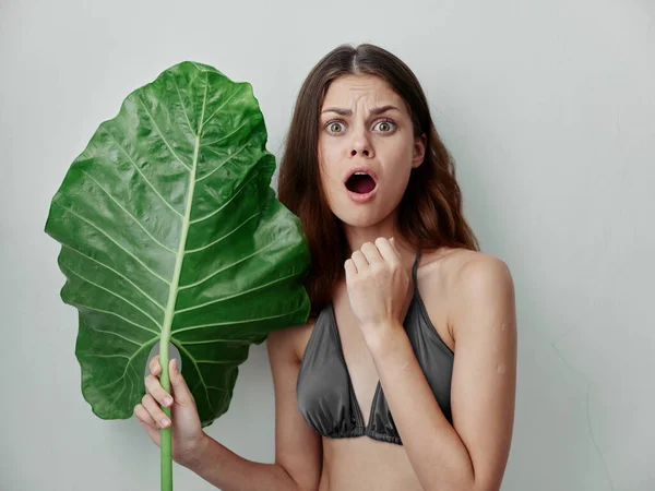 Emocjonalna Kobieta Otwartymi Ustami Stroju Kąpielowym Trzymając Zielony Liść — Zdjęcie stockowe