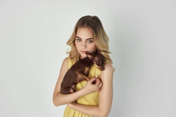 Όμορφη γυναίκα σε ένα κίτρινο φόρεμα διασκέδαση ένα μικρό σκυλί περικοπεί μόδας άποψη — Φωτογραφία Αρχείου