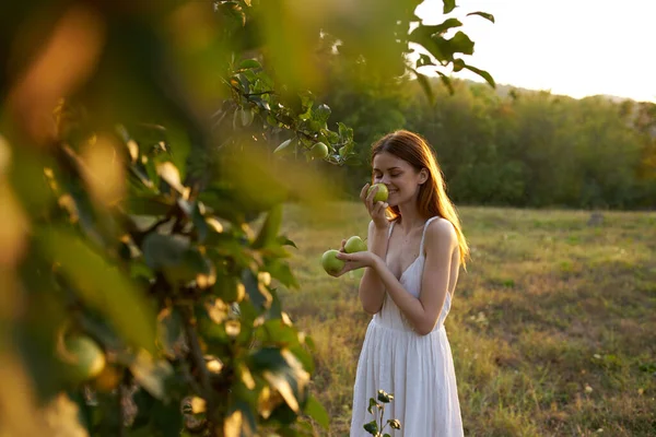 Kobieta Białej Sukience Łonie Natury Jabłkami — Zdjęcie stockowe