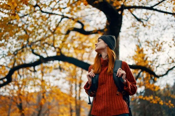 秋の森の中を歩く女性ハイカーは新鮮な空気を — ストック写真