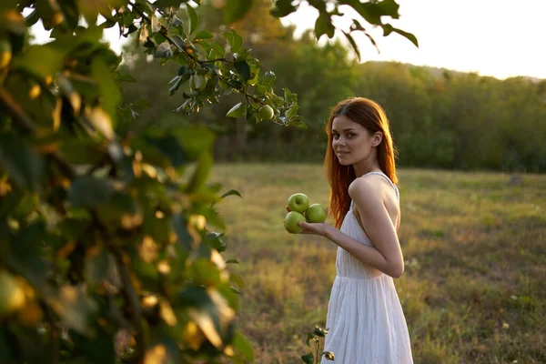 Vacker Kvinna Vit Klänning Fält Nära Äppelträd Högkvalitativt Foto — Stockfoto