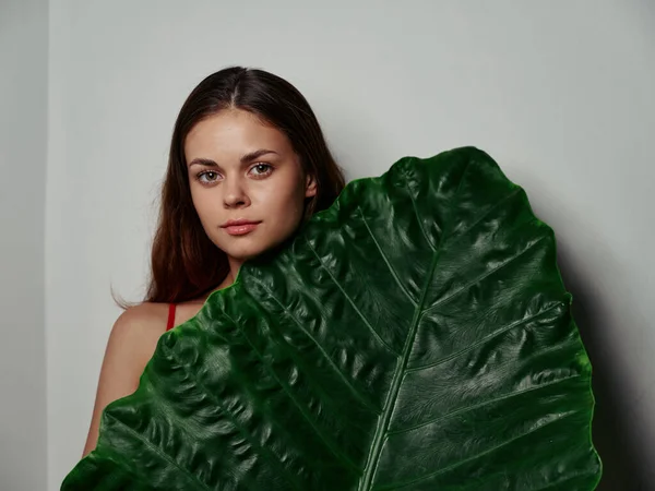 Ładna Kobieta Czystej Skóry Gospodarstwa Zielony Liść Palmowy Jasnym Tle — Zdjęcie stockowe