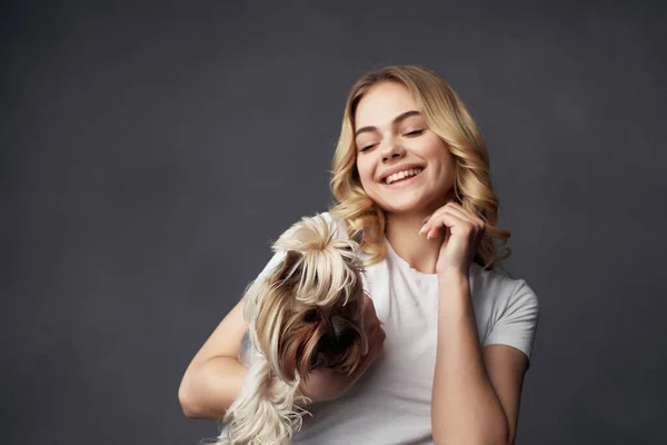 blonde pedigree dog fashion Lifestyle dark background