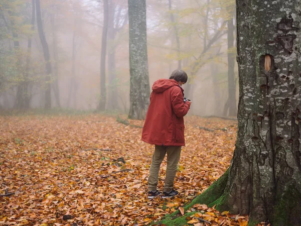 Ok fotós közel fa őszi erdő utazás — Stock Fotó