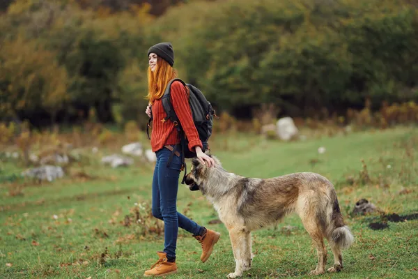 带着背包带着狗的女徒步旅行者 — 图库照片