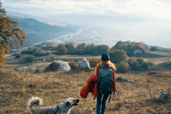 Mujer excursionista pasear perro montañas paisaje aire fresco naturaleza —  Fotos de Stock