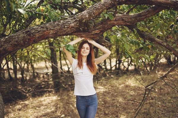 Nő szabadban a fa természet Életmód nyár — Stock Fotó