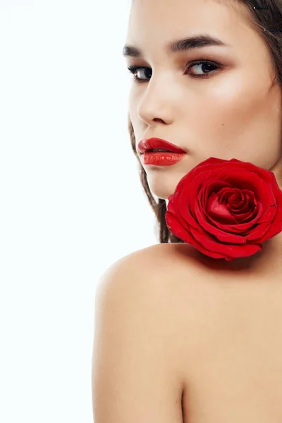 Csinos Rózsával Kiváló Minőségű Fénykép — Stock Fotó