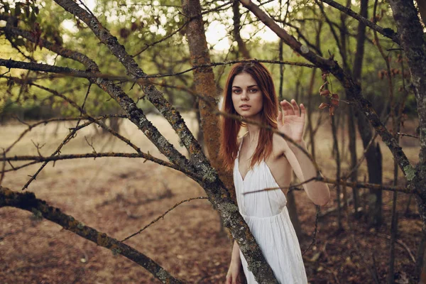 Mulher bonita em vestido branco perto de árvores folhas caídas na floresta — Fotografia de Stock