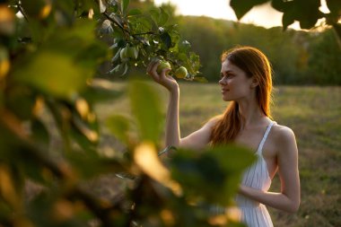 Elma ağacının yanında beyaz elbiseli bir kadın.