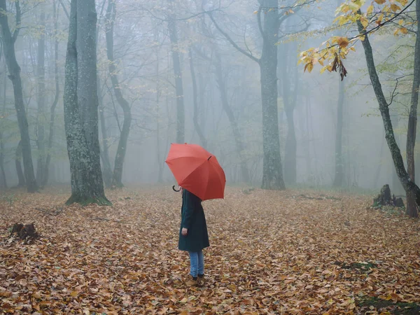 Femme avec parapluie rouge automne forêt nature air frais — Photo