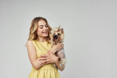 Sarı elbiseli güzel bir kadın. Eğlenceli. Küçük bir köpek izole edilmiş.