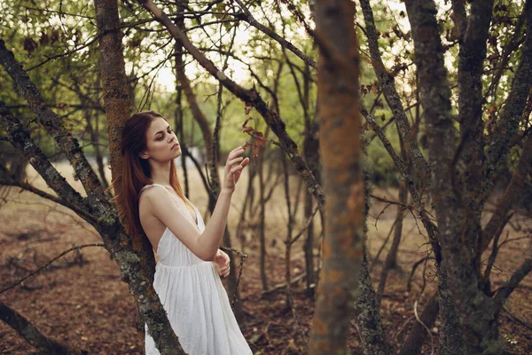 Yazın Ağaçların Yanında Beyaz Elbiseli Bir Kadın — Stok fotoğraf