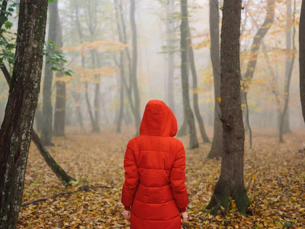 Femme en veste rouge automne feuilles arbres marcher brouillard — Photo