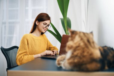 Evde sarı kazaklı bir kadın dizüstü bilgisayarın önünde kedi iç mimarisinin yanında.