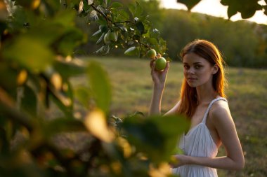 Güzel bir kadın elma ağacının yanındaki beyaz elbise tarlasında