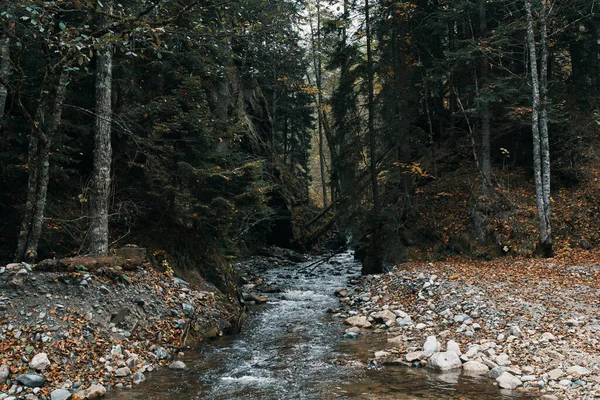 Природа гори ліс річка пейзаж подорожі — стокове фото